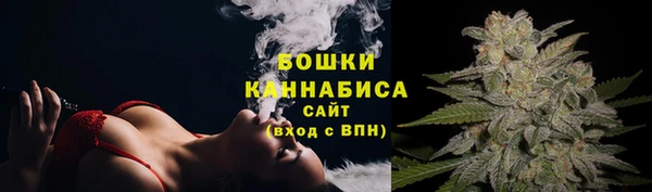 ПСИЛОЦИБИНОВЫЕ ГРИБЫ Алзамай
