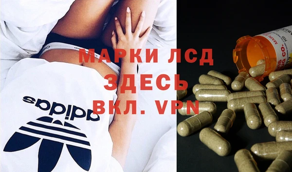ПСИЛОЦИБИНОВЫЕ ГРИБЫ Алзамай