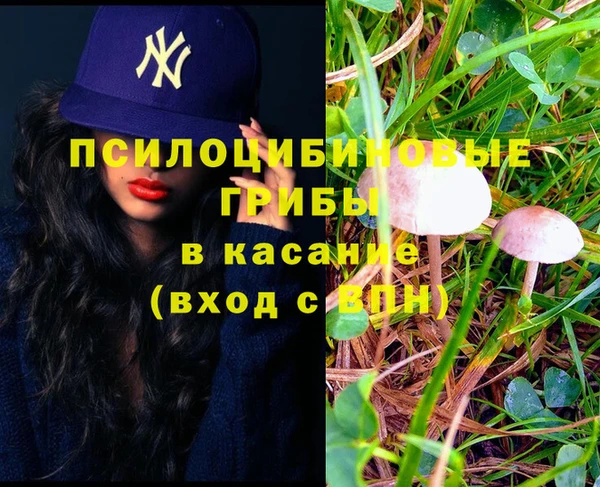 ПСИЛОЦИБИНОВЫЕ ГРИБЫ Алзамай