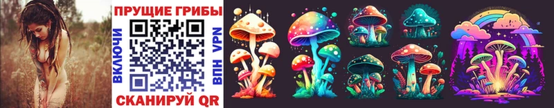 Галлюциногенные грибы MAGIC MUSHROOMS  Рыбное 